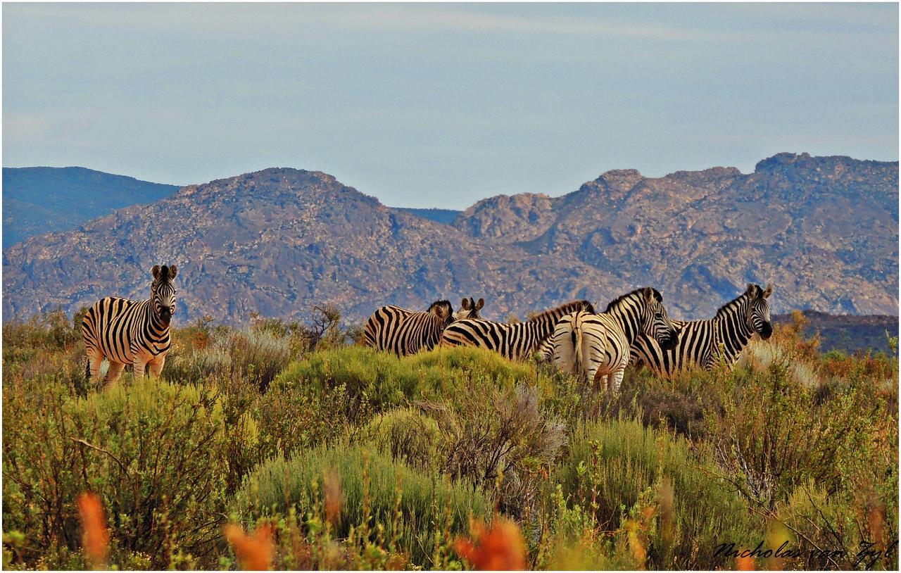 Alojamento de Turismo Selvagem Kagga Kamma Nature Reserve *